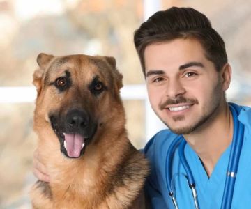 What Is the Starting Salary for a Veterinary Assistant and How to Maximize It