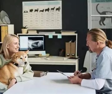 What Is Included in a Full-Service Veterinary Visit? - Vet Approved Insights