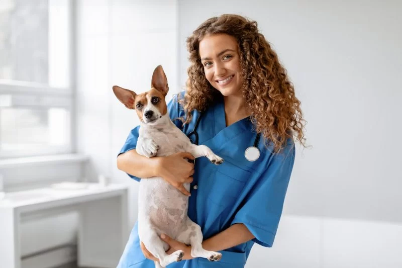 How Long Does It Take to Get a Veterinary License