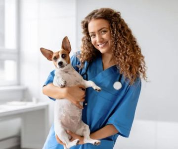 How Long Does It Take to Get a Veterinary License