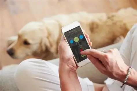 How to Monitor Pet Medications and Dosages Using a Scheduler App Explained Simply