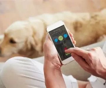 How to Monitor Pet Medications and Dosages Using a Scheduler App Explained Simply
