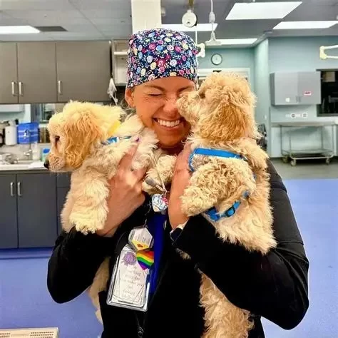 What to Do for a Veterinary Doctor: Smart Ways to Show Support and Care