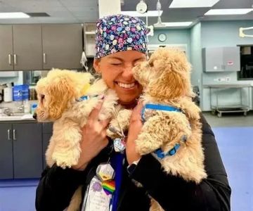 What to Do for a Veterinary Doctor: Smart Ways to Show Support and Care