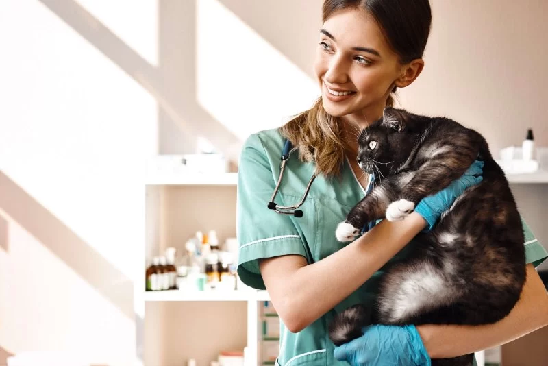 How Much Does a Veterinary Assistant Make? 2025 Salary Guide & Career Tips