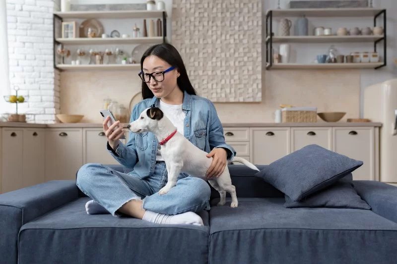 Pet Symptom Checker Tools: Which Are Most Accurate in 2025?