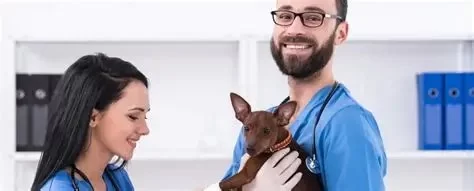 How Much Is the Average Salary for a Veterinarian in the U.S.?