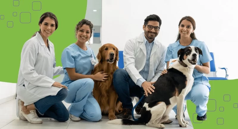 What Interests Should a Veterinarian Have to Succeed in Their Career