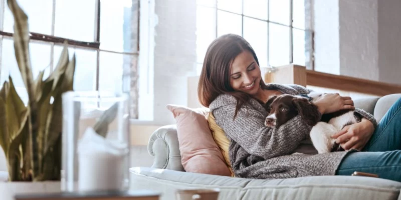 How to Help Pets Adjust to a New Home or Routine Every Owner Should Know