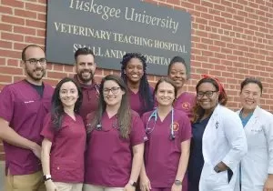 Best Veterinary Schools in the United States: Top Choices for Aspiring Veterinarians