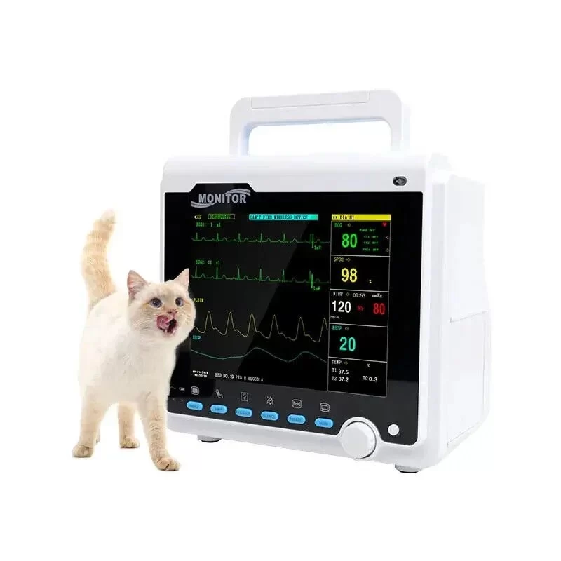 How to Use Technology to Monitor Your Pet’s Vital Signs at Home