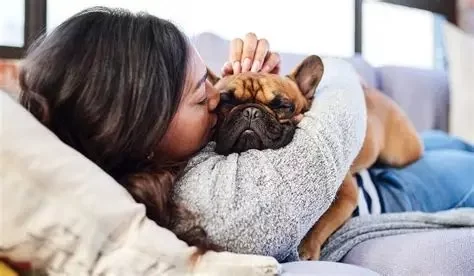 Seasonal Pet Care Tips: Keep Your Pet Healthy Year-Round