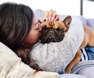 Seasonal Pet Care Tips: Keep Your Pet Healthy Year-Round