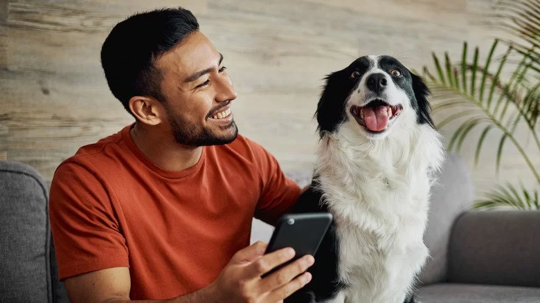 Why Every Pet Owner Should Use a Digital Pet Health Tracker That Could Save Your Pet's Life