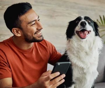 Why Every Pet Owner Should Use a Digital Pet Health Tracker That Could Save Your Pet's Life