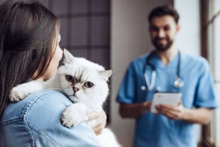 When Is National Veterinary Technician Week? Dates, History, and How to Celebrate