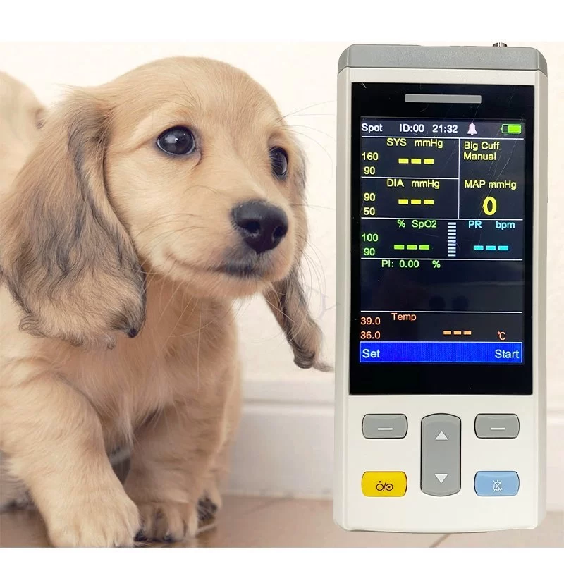 Best At‑Home Vital Sign Monitoring Tools for Dogs & Cats - Vet Approved Insights