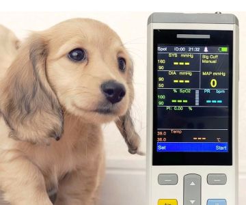Best At‑Home Vital Sign Monitoring Tools for Dogs & Cats - Vet Approved Insights