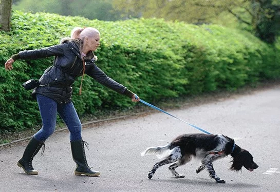 Leash Training Tips: How to Stop Pulling and Tugging That Could Save Your Pet's Life