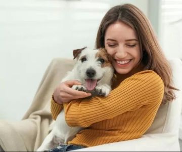 How to Help Pets Adjust to a New Home or Routine You Shouldn't Ignore