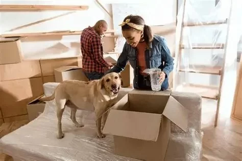 How to Help Pets Adjust to a New Home or Routine and What It Means