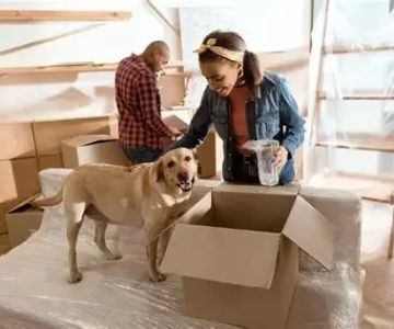 How to Help Pets Adjust to a New Home or Routine and What It Means