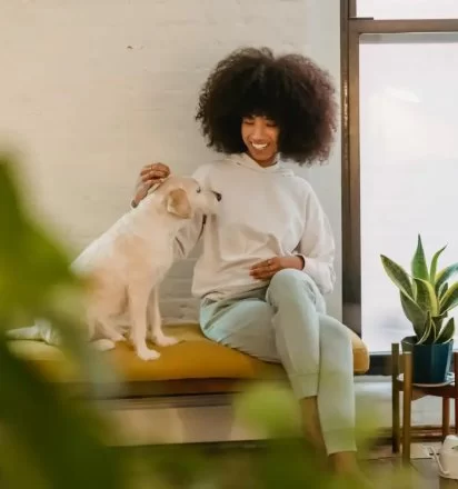 How to Teach Your Dog Basic Commands: Sit, Stay, Come - Vet Approved Insights