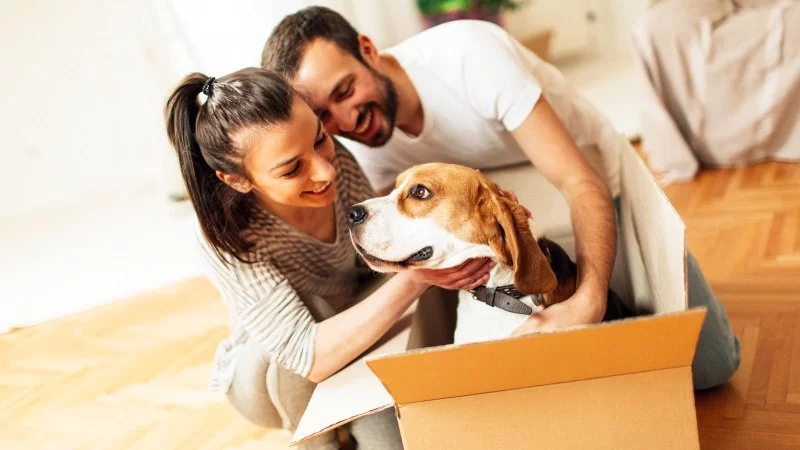 How to Help Pets Adjust to a New Home or Routine That Could Save Your Pet's Life