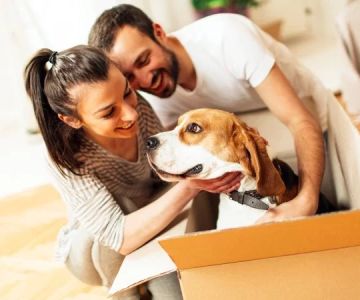 How to Help Pets Adjust to a New Home or Routine That Could Save Your Pet's Life