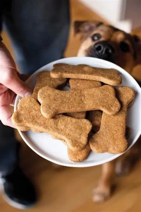 Can Dogs Eat Homemade Dog Treats? Expert Advice & Tips for Safe Recipes