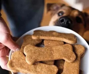 Can Dogs Eat Homemade Dog Treats? Expert Advice & Tips for Safe Recipes