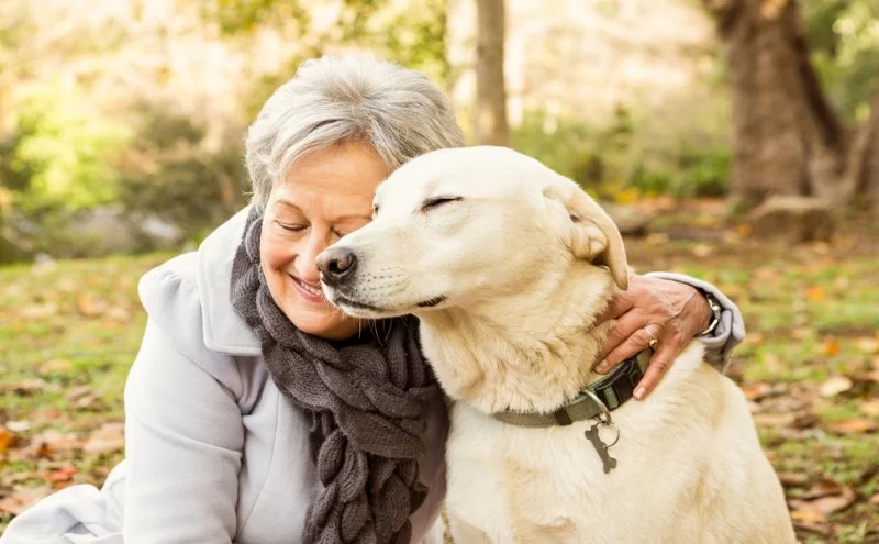 How to Help Pets with Late-Stage Illness Remain Happy