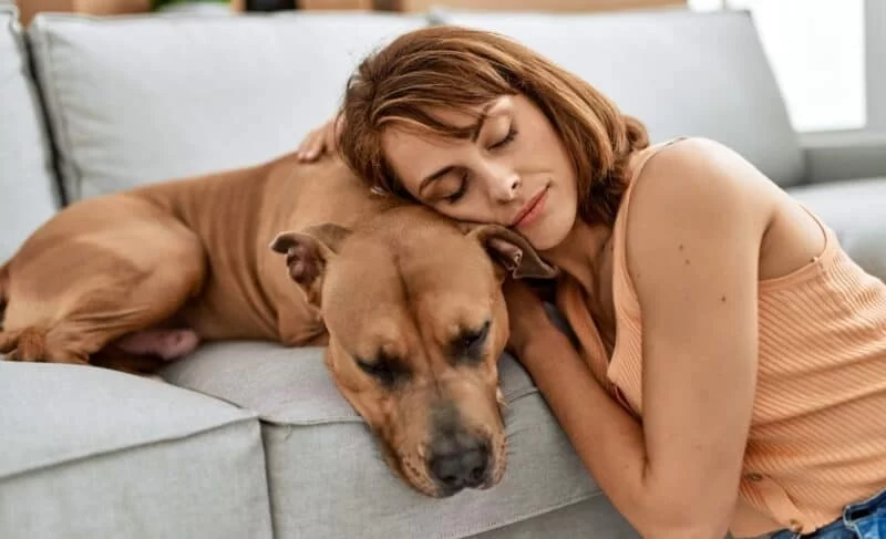 Best Ways to Comfort a Pet with Severe Anxiety in the U.S.