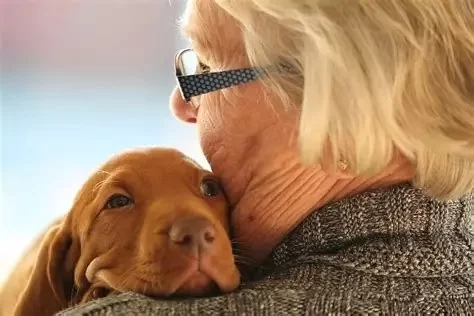 How to Manage Anxiety in Older Pets