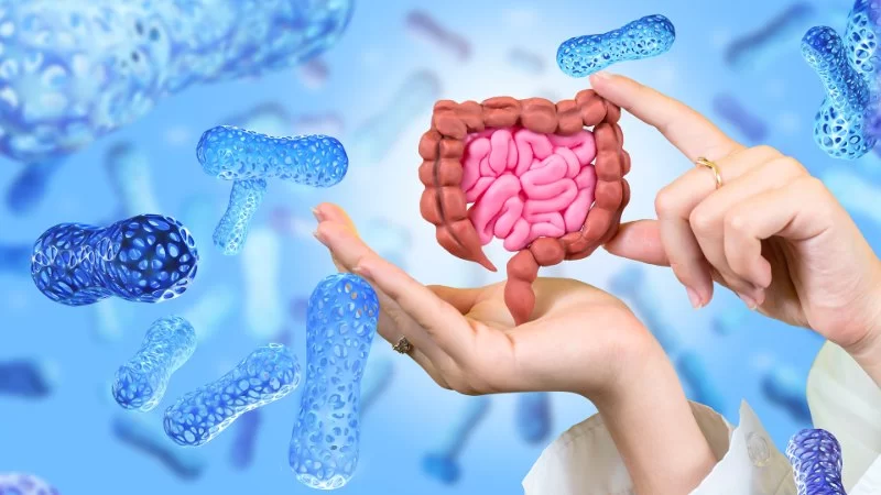 Microbiome & Gut Health in Pets: What You Should Know