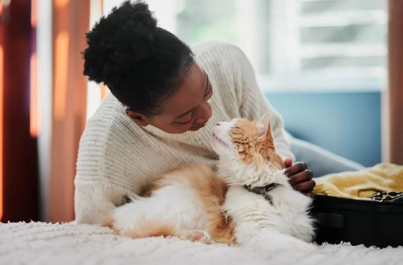 How to Treat Pet Anxiety When You Can’t Be Home