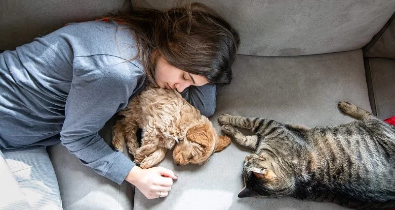 How to Help Pets with Terminal Conditions Stay at Ease