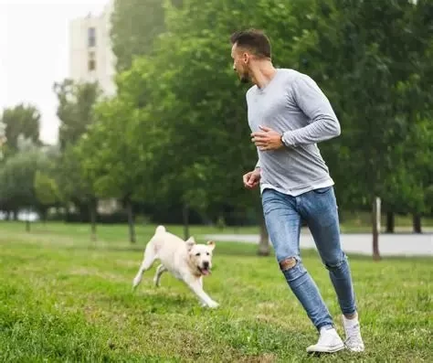 Dog Off-Leash Training: Building Reliable Recall for Your Dog