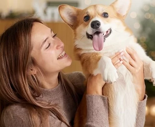 Best Calming Treats for Dogs with Anxiety: Vet-Approved Solutions for Stress Relief