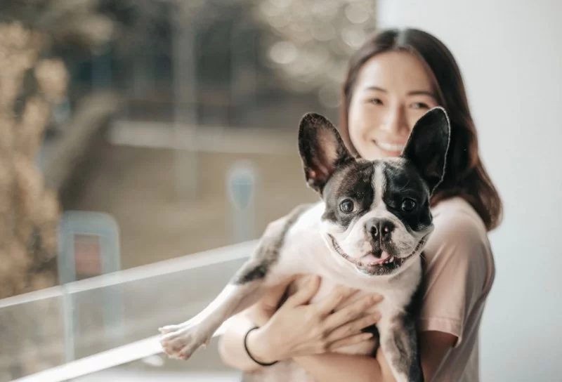 Pet Anxiety Management During Social Events: Effective Strategies