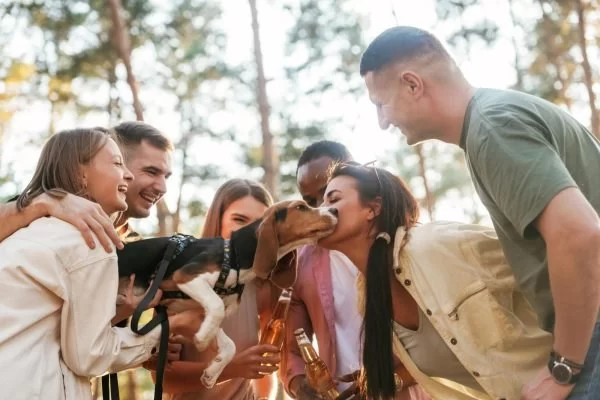 How to Train Dogs to Greet People Politely – Effective Training Tips