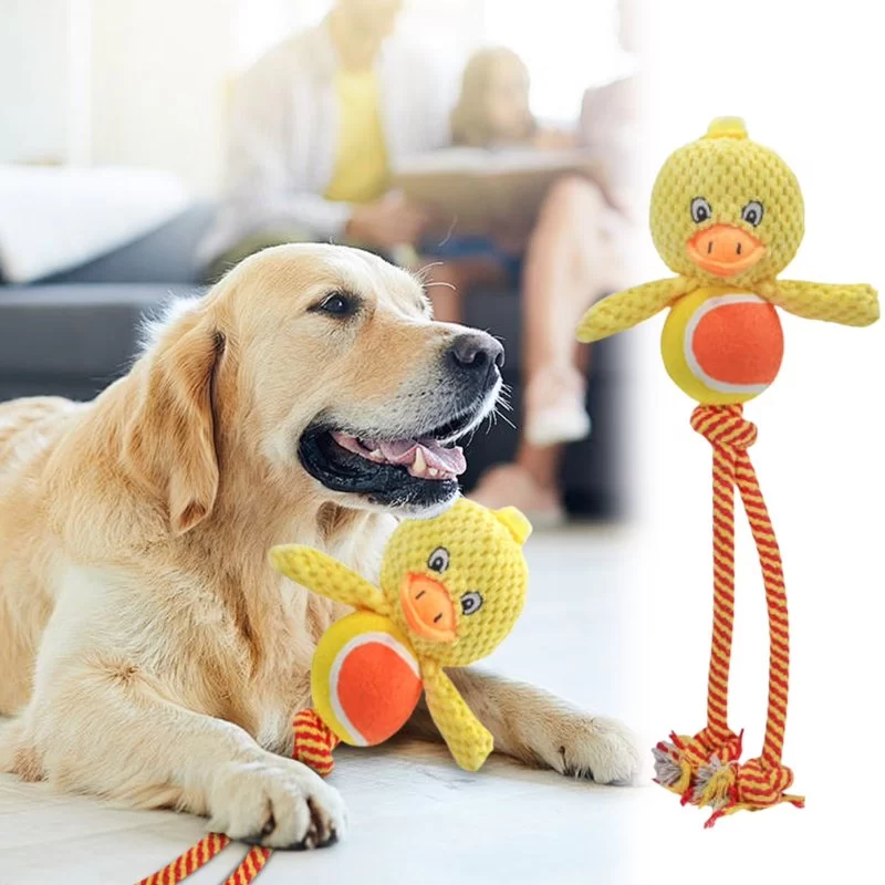 How to Manage Pet Anxiety with Interactive Toys | Hidden Brook Veterinary