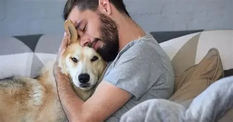 How Long Does Pet Anxiety Last After a Stressful Event?