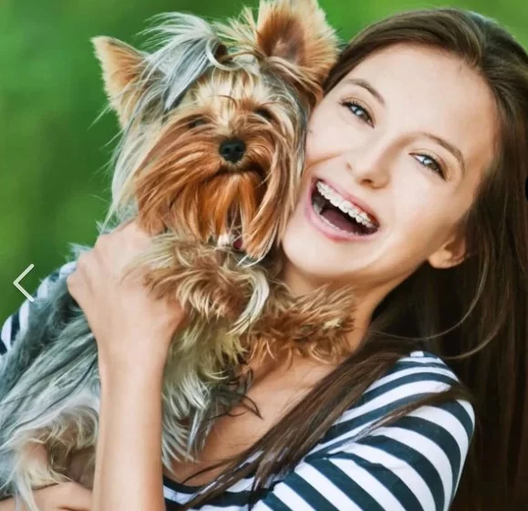 Best Calming Aids for Anxious Pets During Vet Visits