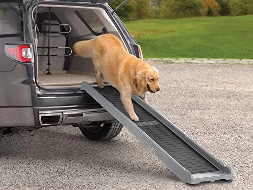 How to Help Pets with Mobility Issues (Ramps, Support) — Practical Tips for Caring Owners
