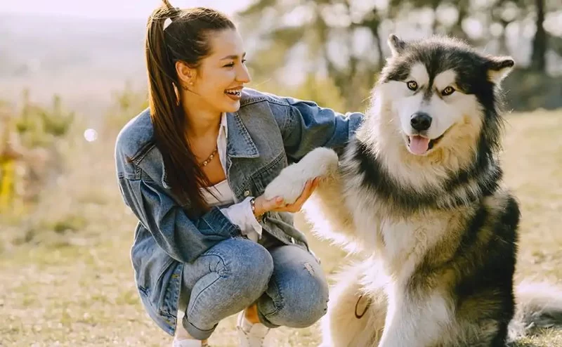 How to Train Dogs to Behave in Crowded Places: Tips and Techniques