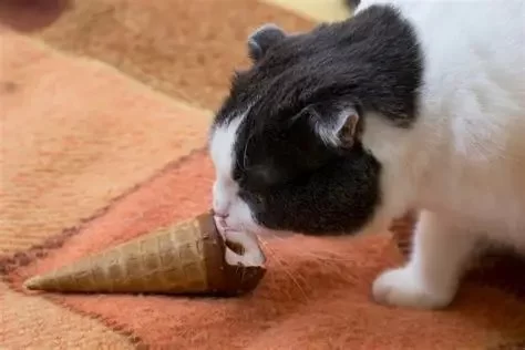 Can Cats Eat Vanilla Ice Cream? A Guide to Feline Treats and Safety