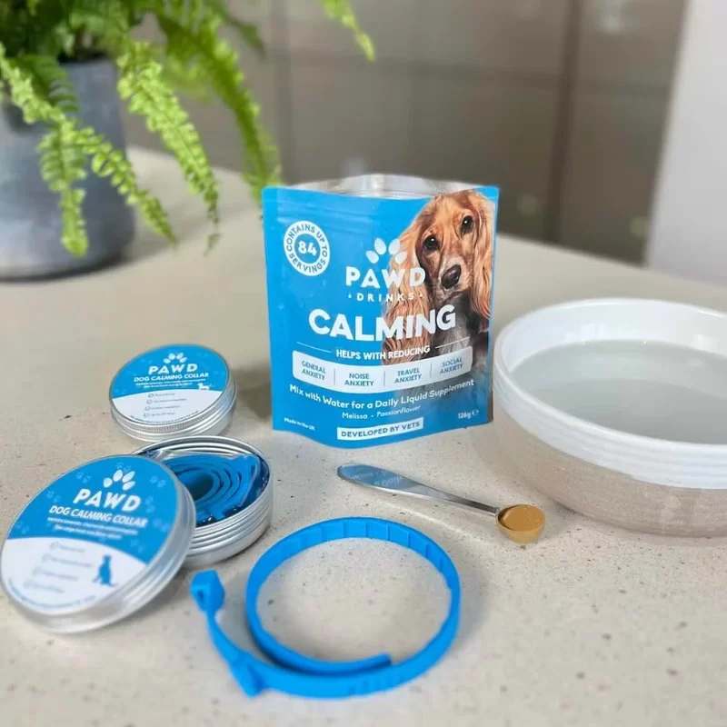 Best Calming Products for Dogs with Anxiety During Travel