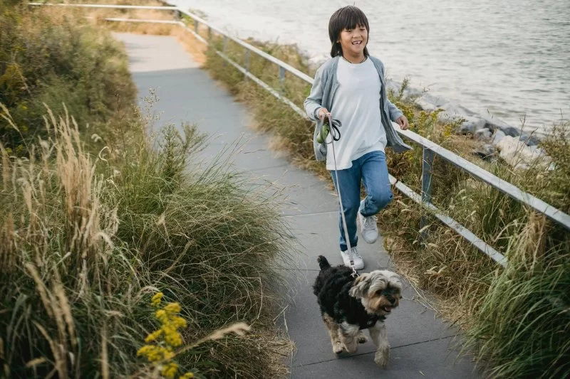 Best Ways to Alleviate Anxiety in Pets Naturally – Effective Tips for Pet Owners