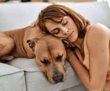 Best Ways to Comfort a Pet with Severe Anxiety